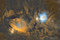 Thumbnail image. Click to load APOD for this date