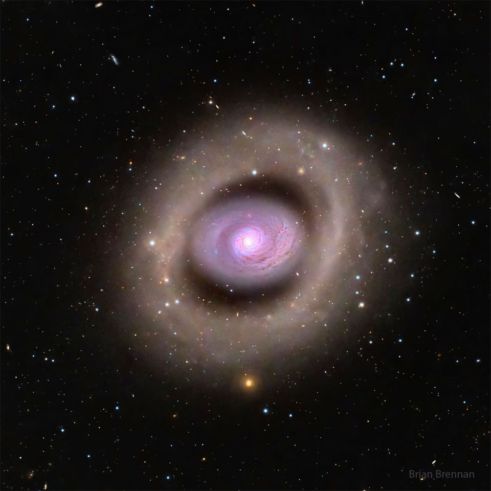 A spiral galaxy is seen in the image centre with a distinct
purple hue. The galaxy features a bright inner ring, but even
outside of that appears another large ring. The outer rings
appears light brown. Foreground stars are visible throughout
the image.
Please see the explanation for more detailed information.