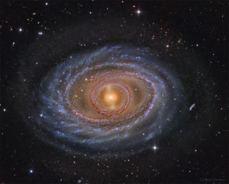 A spiral galaxy is shown with a yellow centre, blue rings and spiral arms,
and dark brown and red dust. The surrounding dark field contains both local
stars and more distant galaxies. 
Please see the explanation for more detailed information.