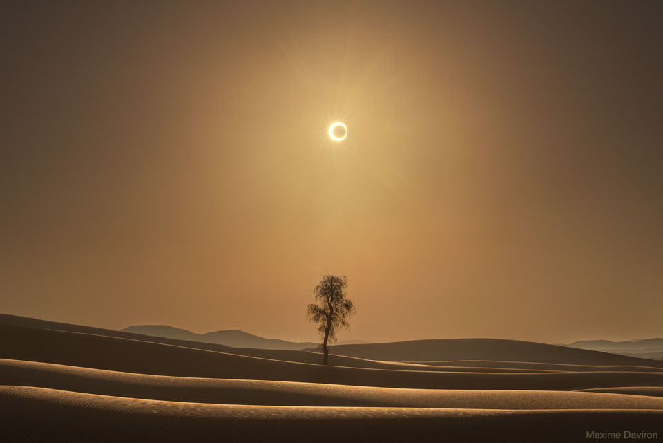 An empty desert is shown with rolling tan sand dunes and 
a tan glow to the air above. A lone tree grows in the image centre.
High above, the Sun glows - but the centre of the Sun is blackened
out by an unusual disk. 
Please see the explanation for more detailed information.