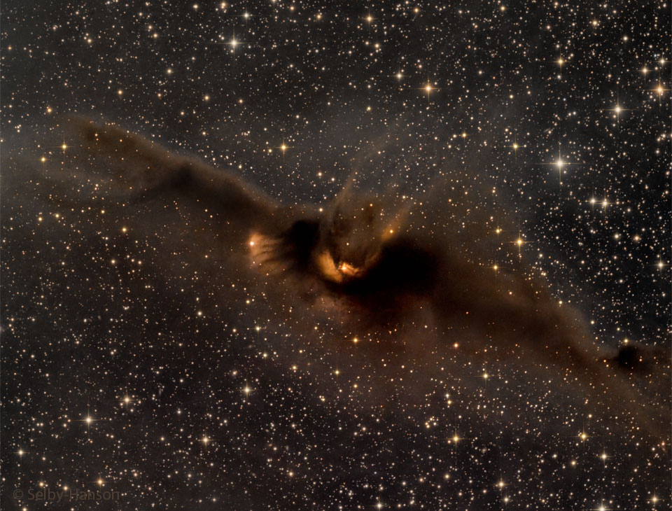 A starfield is shown with a large brown dust nebula
in the centre. The nebula appears, to some, to be shaped
like a bat. One of the stars in the dust nebula even appears
to be the eye of the bat. 
Please see the explanation for more detailed information.