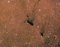 Thumbnail image. Click to load APOD for this date