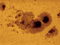 Thumbnail image. Click to load APOD for this date