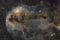 Thumbnail image. Click to load APOD for this date