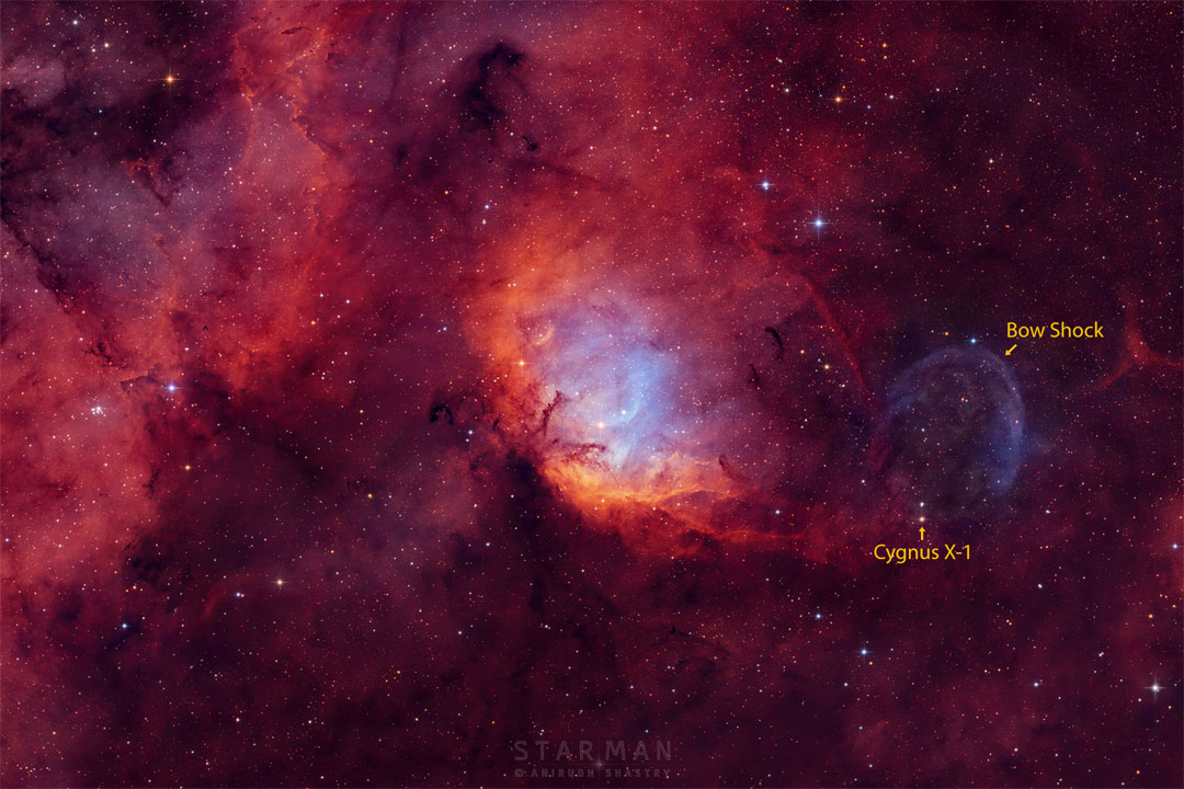 A picture of a starfield with red emission nebulae is shown.
Toward the right is a point of light that is Cygnus X-1, a nearby
black hole. Above the black hole is a blue-shaded bow shock wave
in the surrounding gas.
Please see the explanation for more detailed information.