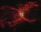 Thumbnail image. Click to load APOD for this date
