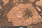 Thumbnail image. Click to load APOD for this date