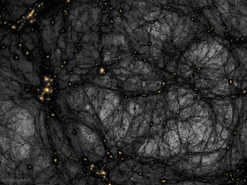 The picture shows a computer simulation of the matter
distribution in our universe with dark matter shown in a 
dark colour on a light background.
Please see the explanation for more detailed information.