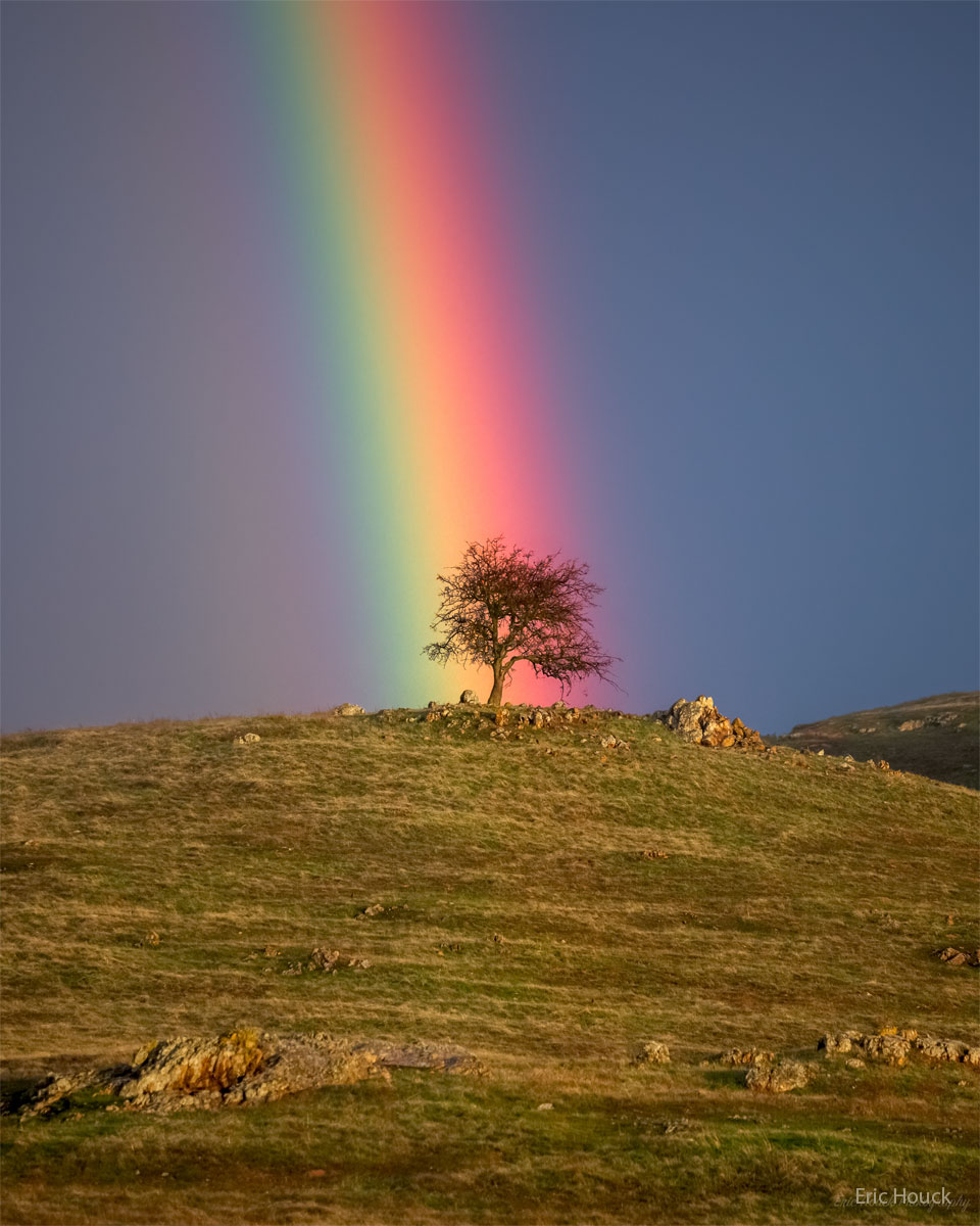 A grassy hill is seen topped by a small tree. The tree
appears to be at the end of a bright and colourful rainbow.
Please see the explanation for more detailed information.