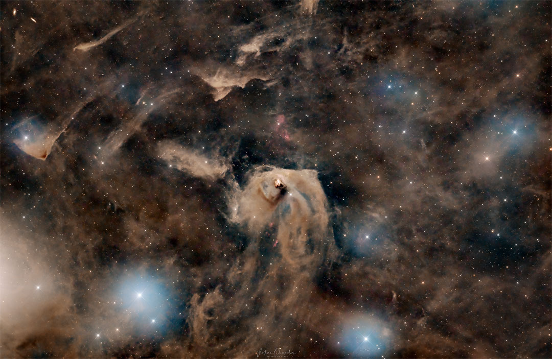 A star field strewn with bunches of brown dust is pictured.
In the centre is a bright area of light brown dust, and in the 
centre of that is a bright region of star formation.
Please see the explanation for more detailed information.