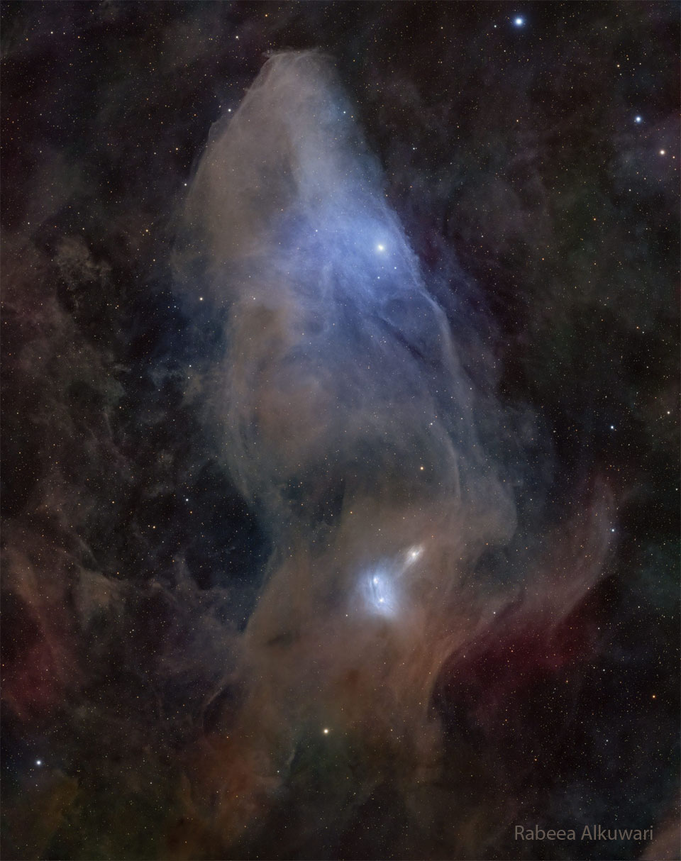 A starfield surrounds a large nebula that is mostly brown
and blue and has an appearance reminiscent of the head of a horse.
This nebula is not the more famous Horsehead Nebula. 
Please see the explanation for more detailed information.