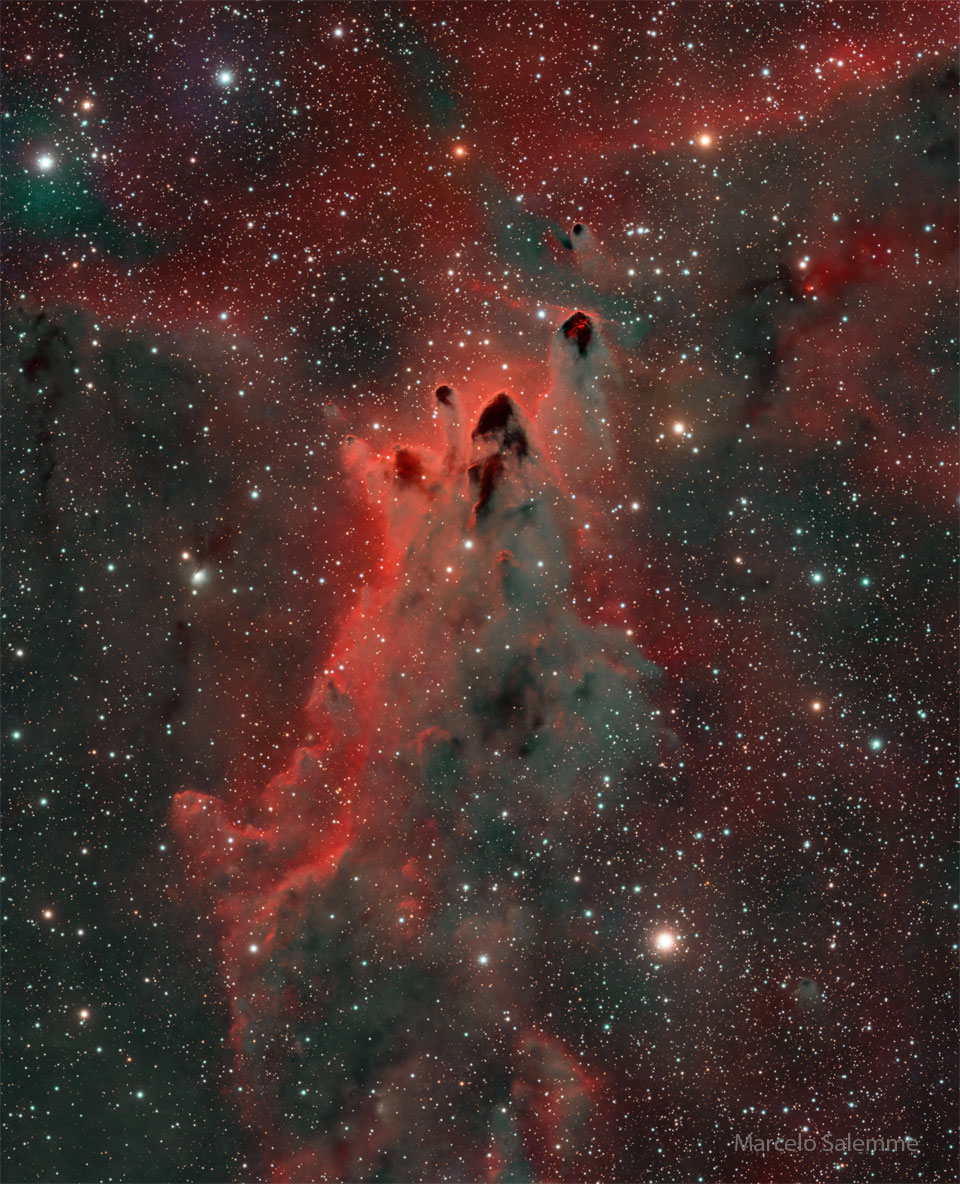 A star field with a few red wisps surrounds 
a nebula that has many several dark components each
of which has a dark head closer to the top of the image.
A red glow is brightest near the top of each component.
Please see the explanation for more detailed information.
