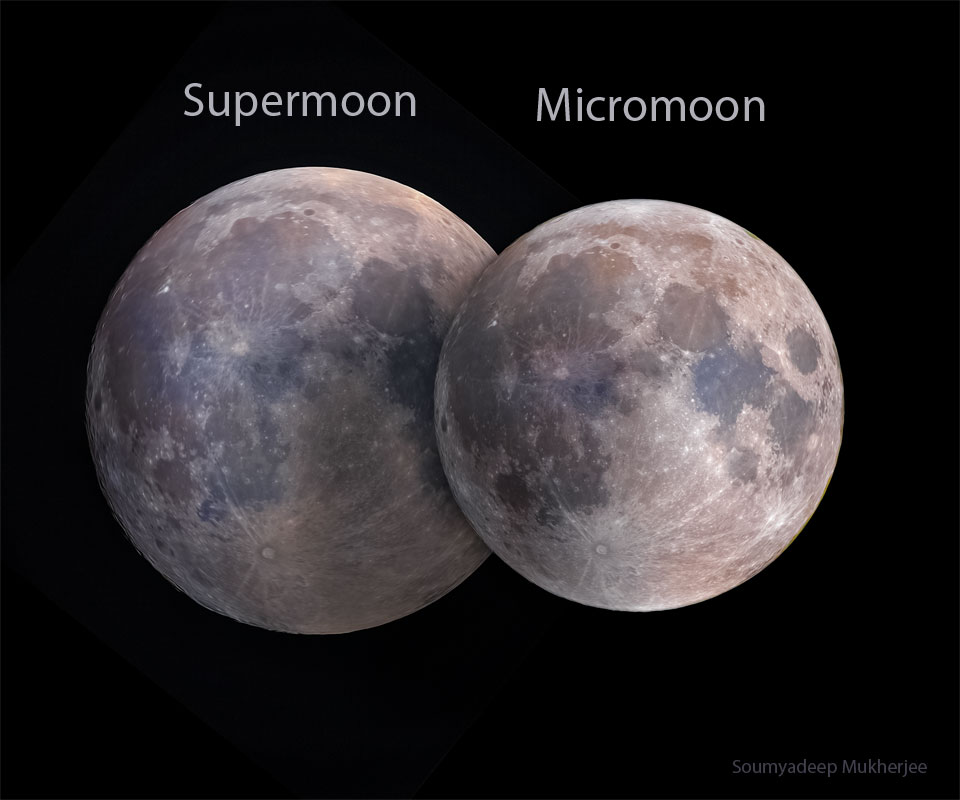 Two images of Earth's Moon are shown, both in full 
phase. The left moon image, labelled Supermoon, is slightly 
larger than the right moon image, labelled Micromoon.
Please see the explanation for more detailed information.